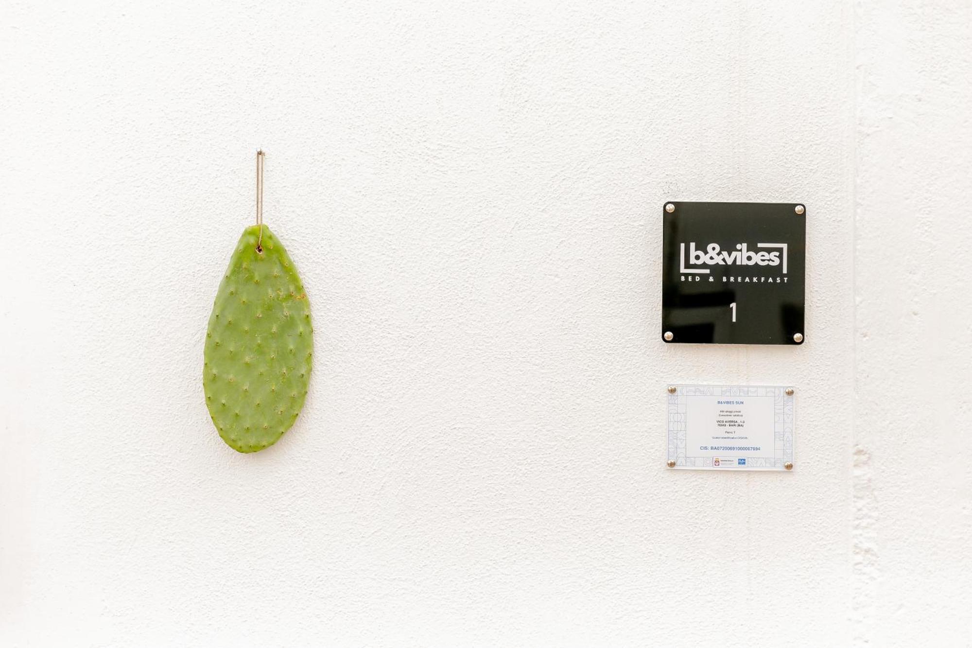 Appartement B&vibes